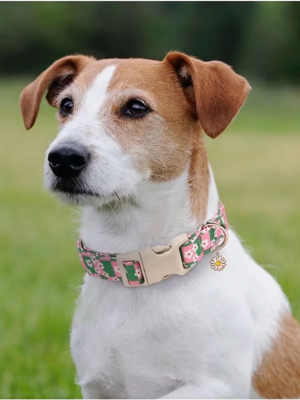 Pink & Green Floral Dog Collar. Size Medium. Adjustable, soft, lightweight.